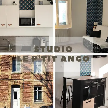 Apartment Studio Avec Terrasse En Rdc Quartier Le Pollet-le P'tit Ango *